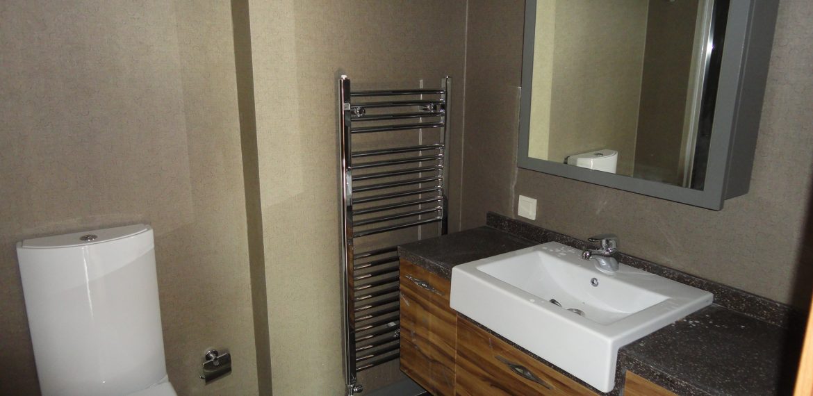 Başakşehir Ağaoğlu My World Europe 1